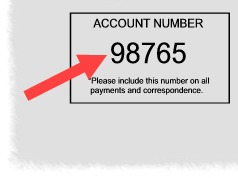 Finding your Tax Account ID