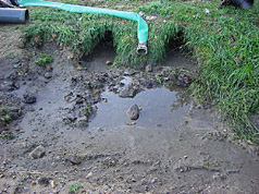 Mud Blocks Drainage Piping