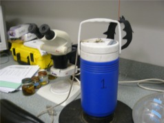 Mosquito Trap in Lab at Manchester Health Department