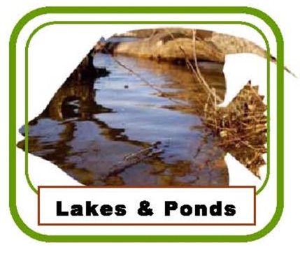 Water Quality